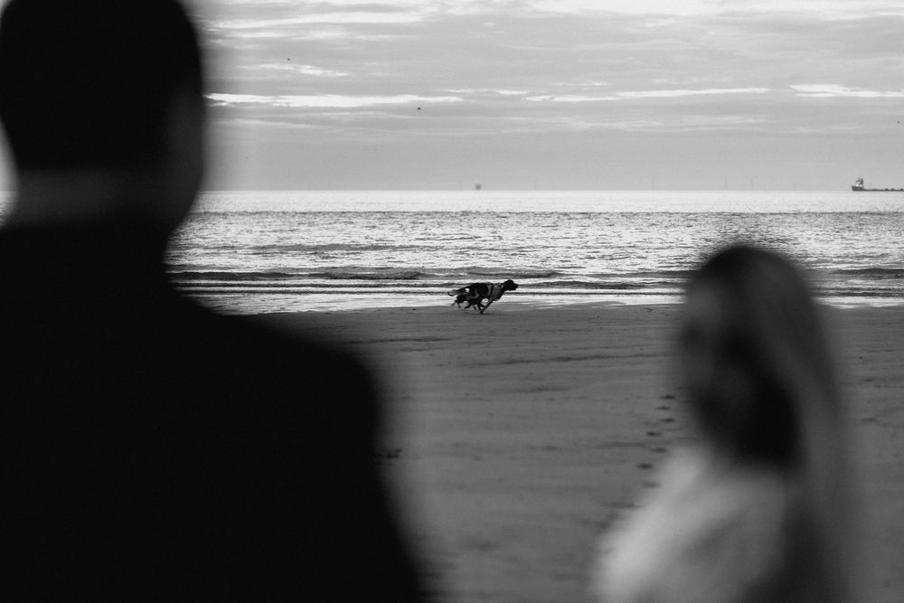 Black and white beach scene with silhouetted observers watching a dog run along the shoreline at sunset.
