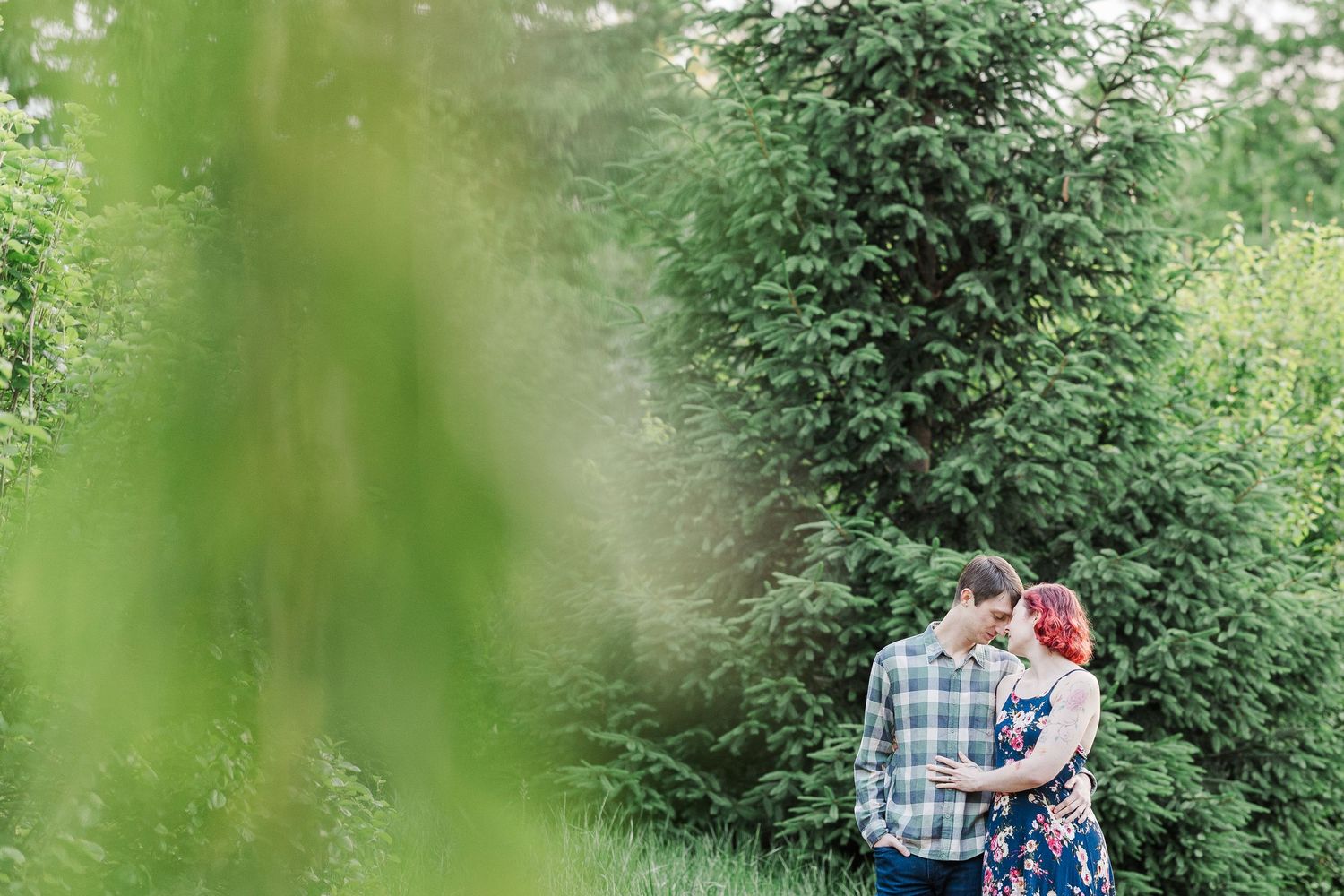 Couple embracing on a garden path surrounded by lush green foliage viewed through blurred leaves in foreground at Cantigny Park