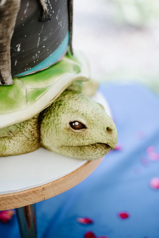 Close-up view of a green turtle's face on a white plate with blue background and scattered pink petals.