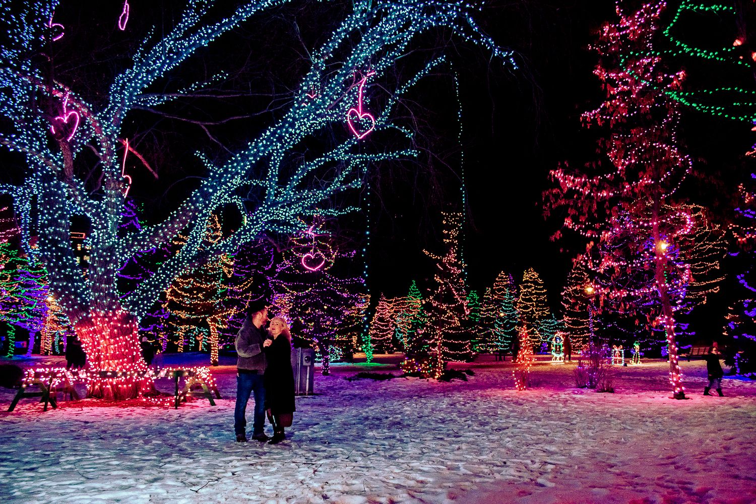 Snowy winter scene with couple surrounded by trees wrapped in blue and pink LED holiday lights.