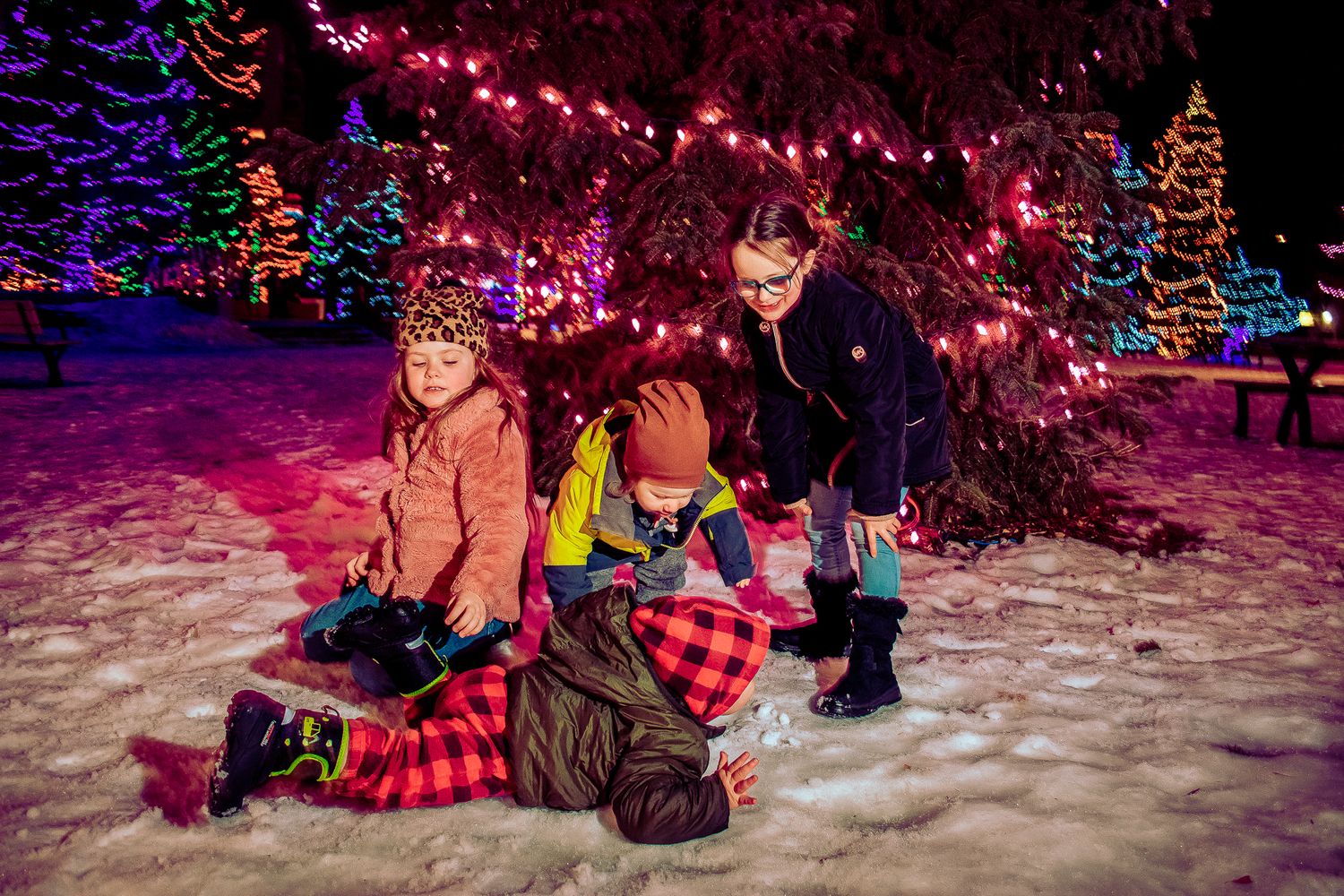Group sitting in snow beneath pink-lit trees and colorful Christmas displays.