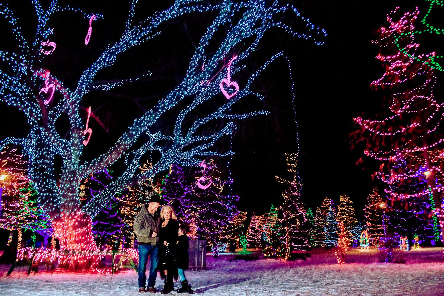 Winter wonderland scene with illuminated trees covered in colorful lights and snow on the ground.