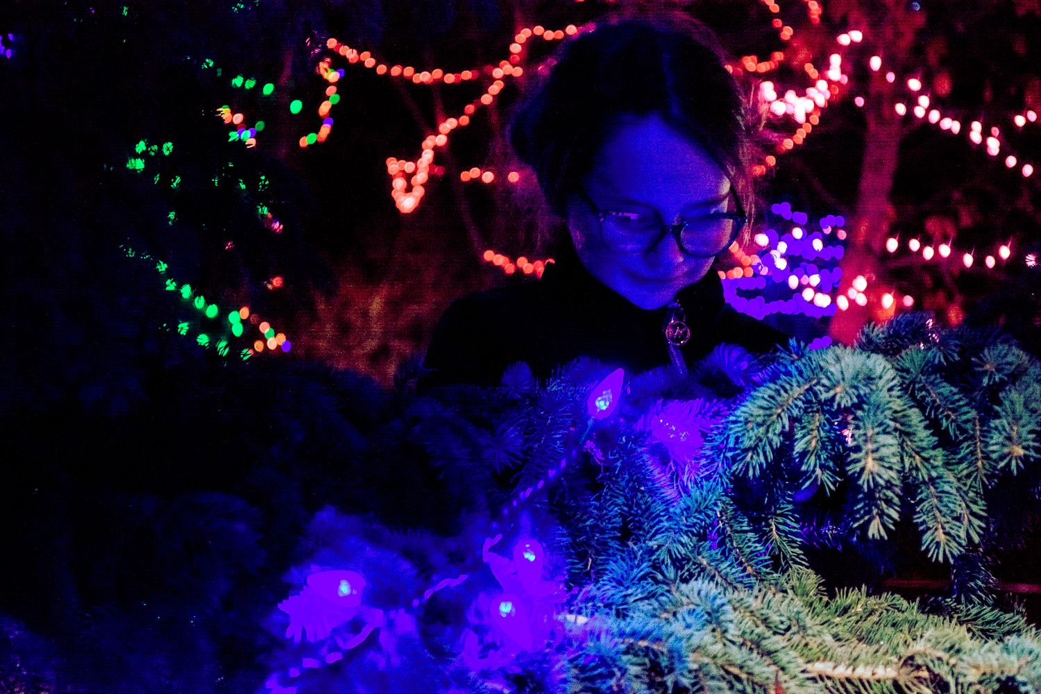 Colorful holiday lights illuminate evergreen branches in purple and blue hues against a dark night sky.