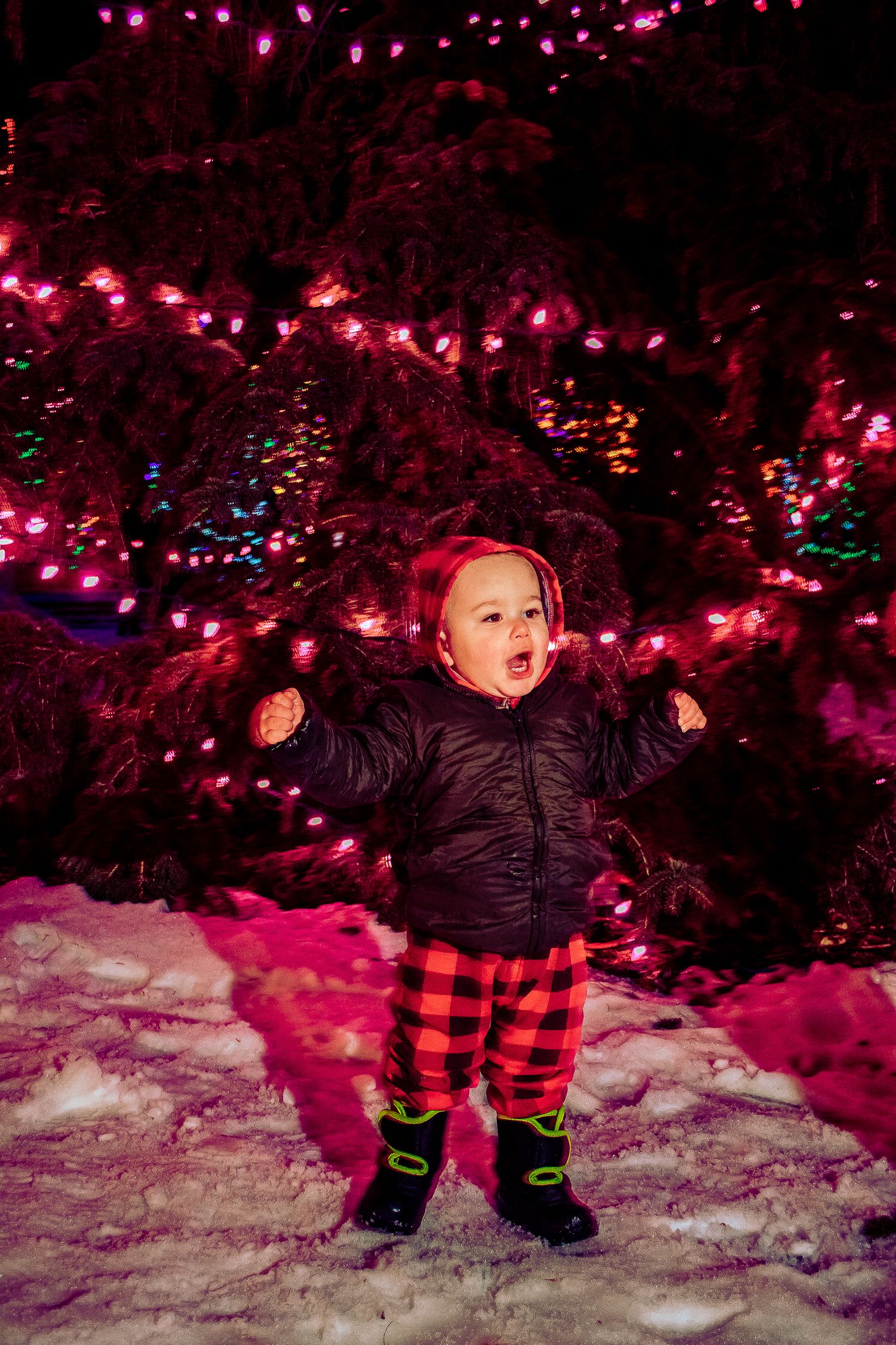 Small child in plaid pants and dark jacket expressing joy among pink holiday lights and snow.