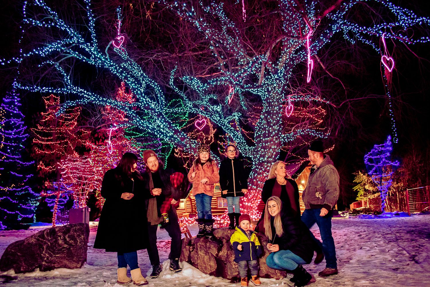 Winter holiday scene with multiple families gathered under trees wrapped in colorful LED lights.