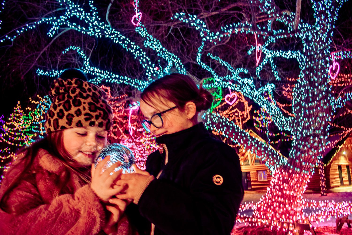 Close-up shot of two people looking at something together under trees decorated with blue and pink lights.