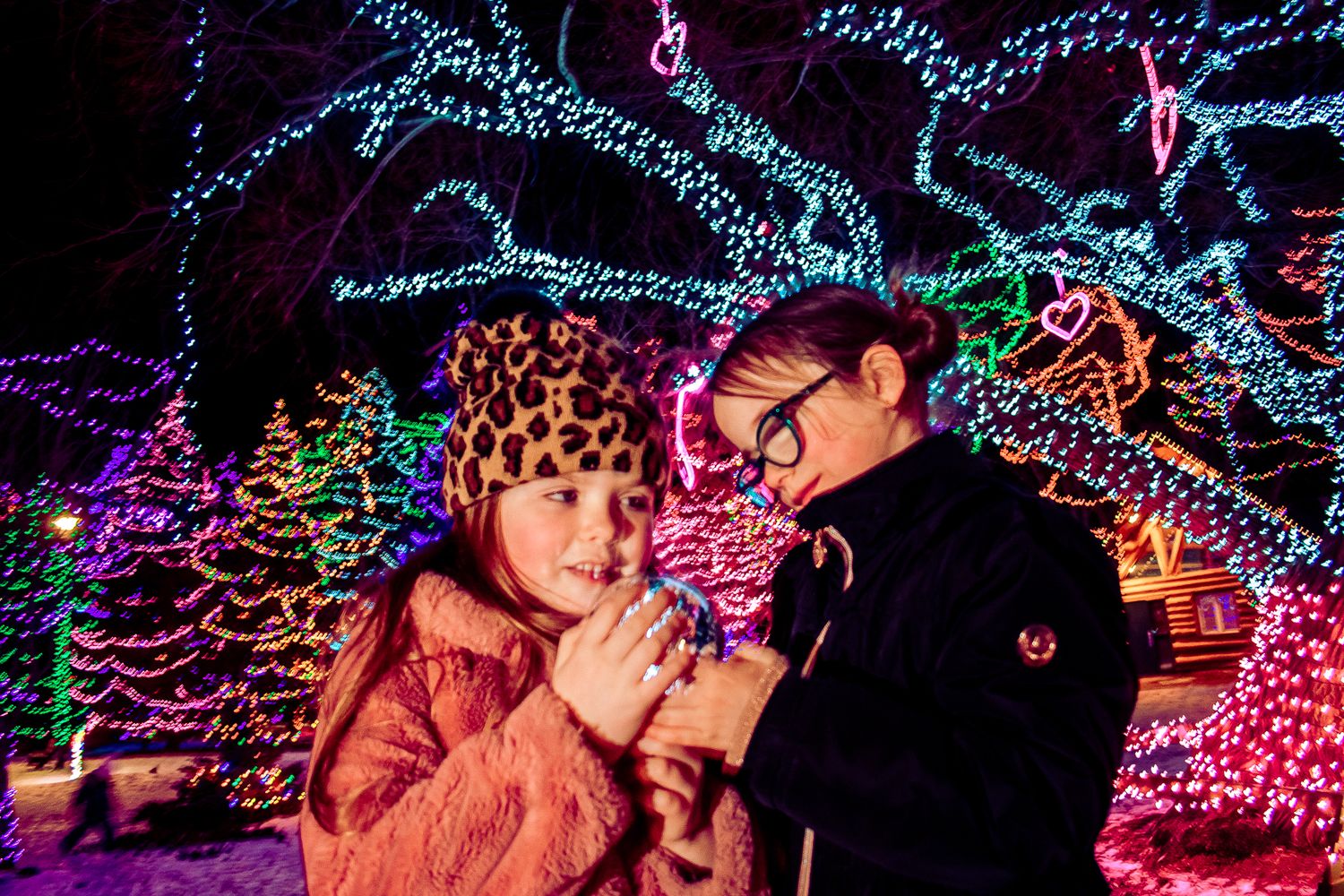 Two people examine an object together beneath trees wrapped in colorful holiday lights.
