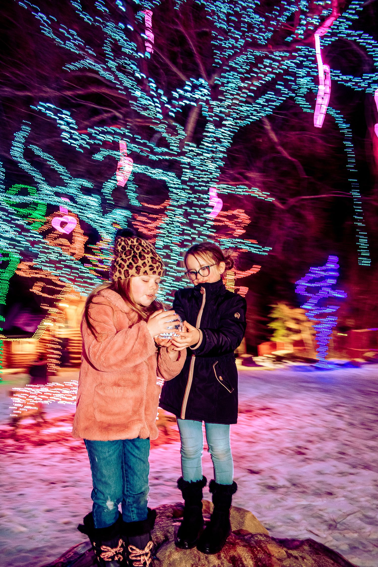 Two people look at something together under colorful Christmas lights illuminating trees in a winter scene.
