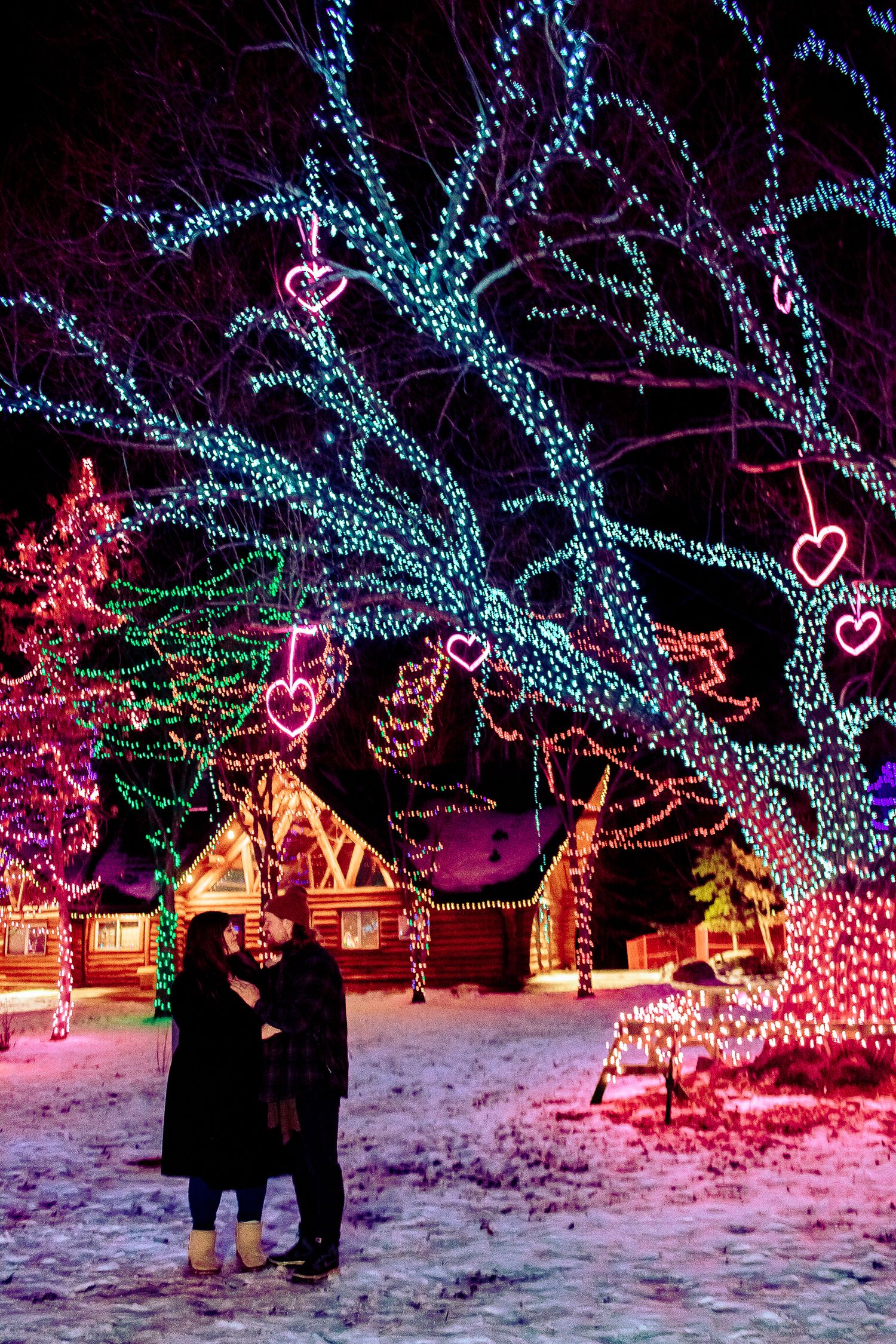 Couple standing beneath a tree illuminated with blue lights and heart decorations in a snowy setting.