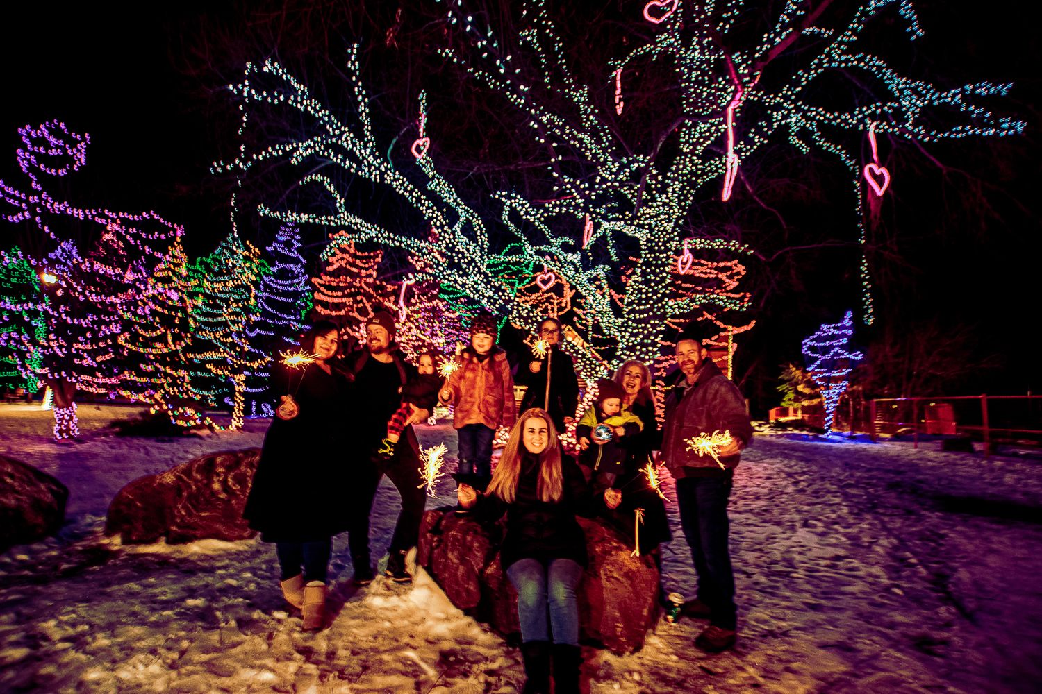 A group gathers beneath festively lit trees in the snow at a holiday light display.