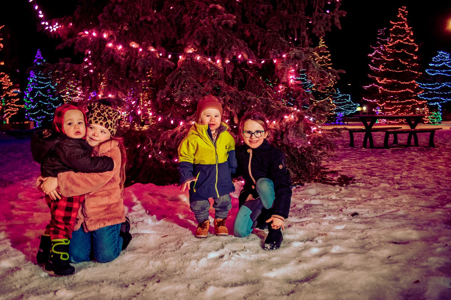 Family enjoying winter evening among illuminated Christmas trees and pink holiday lights in the snow.