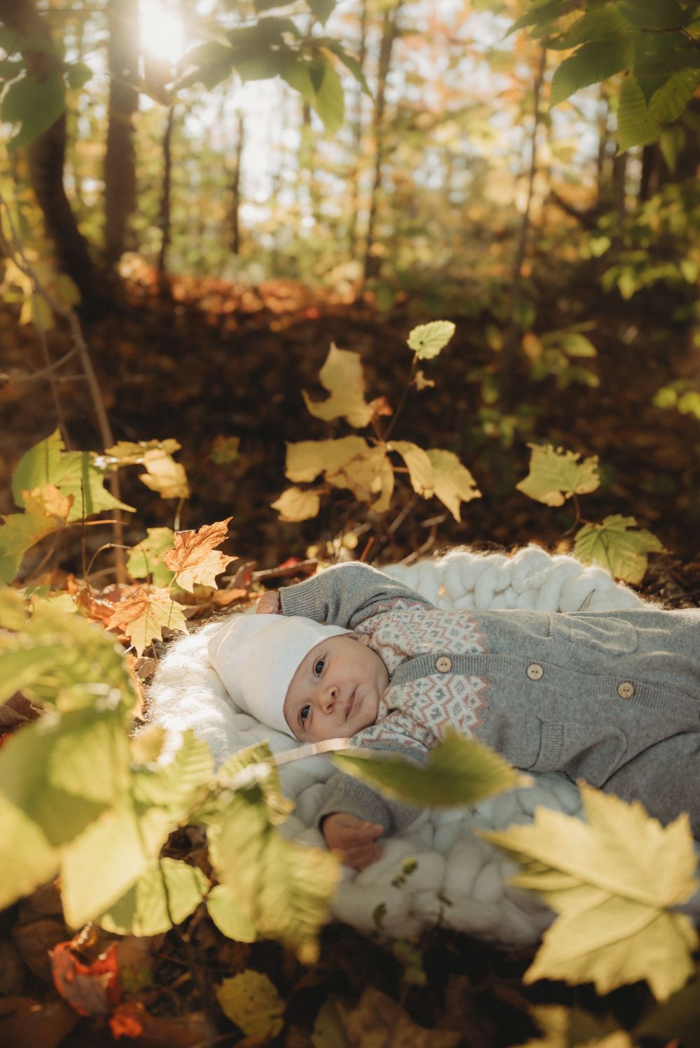 Baby lies on white blanket surrounded by golden autumn leaves in a forest setting.
