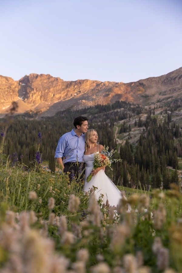 wildflower element in Utah