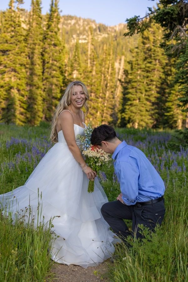 wildflower element in Utah