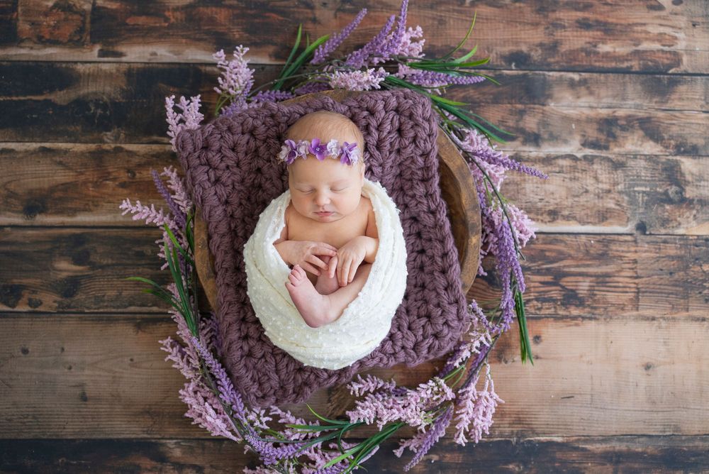 Collection of newborn photography images showcasing a rustic wooden backdrop with delicate purple flowers arranged around each shot.