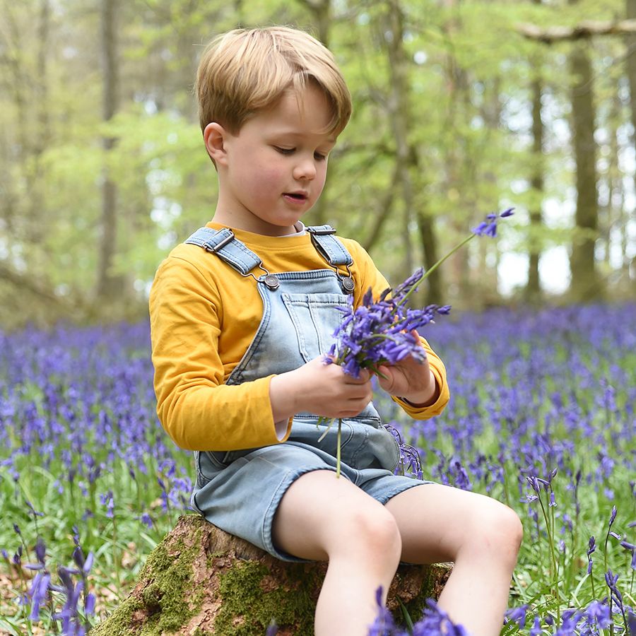 Bluebell Family Photoshoot by Abigail's Studio