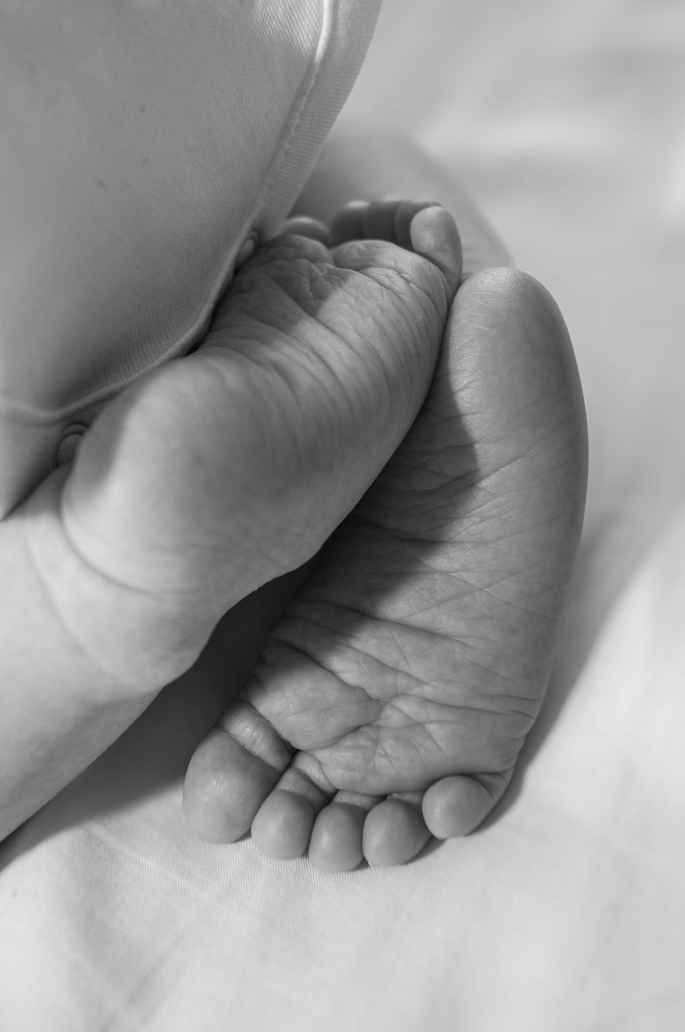 A close-up black and white photograph of tiny baby feet resting gently on soft fabric.