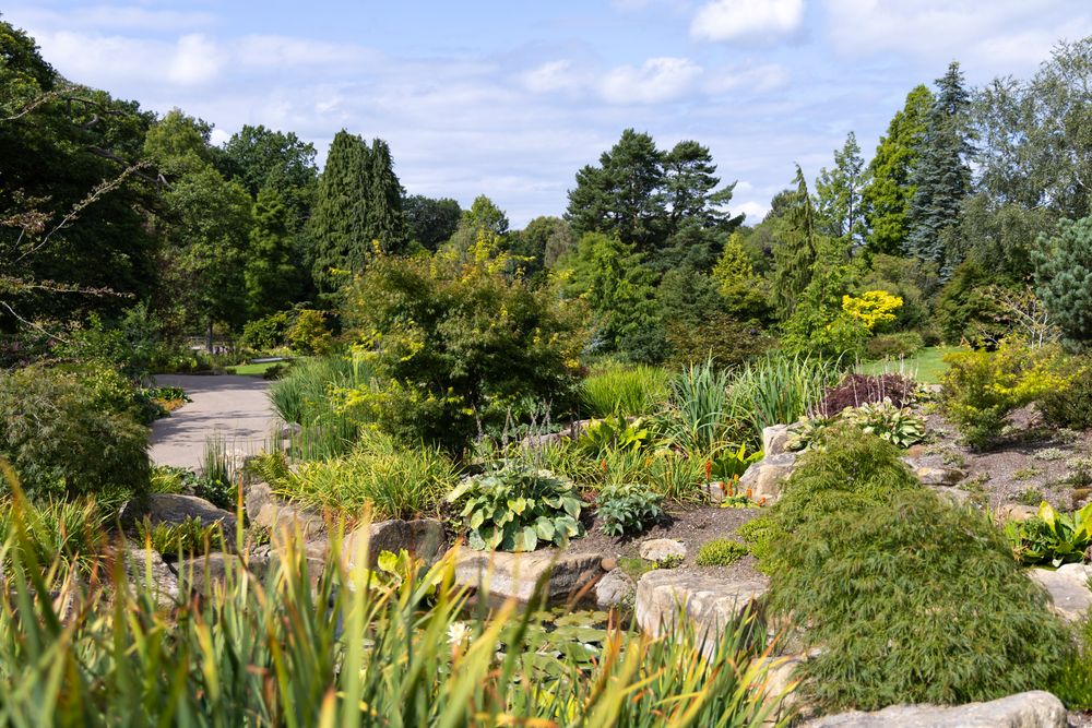 Tranquil rock garden landscape featuring winding paths, ornamental grasses, and evergreen plants under blue summer sky.