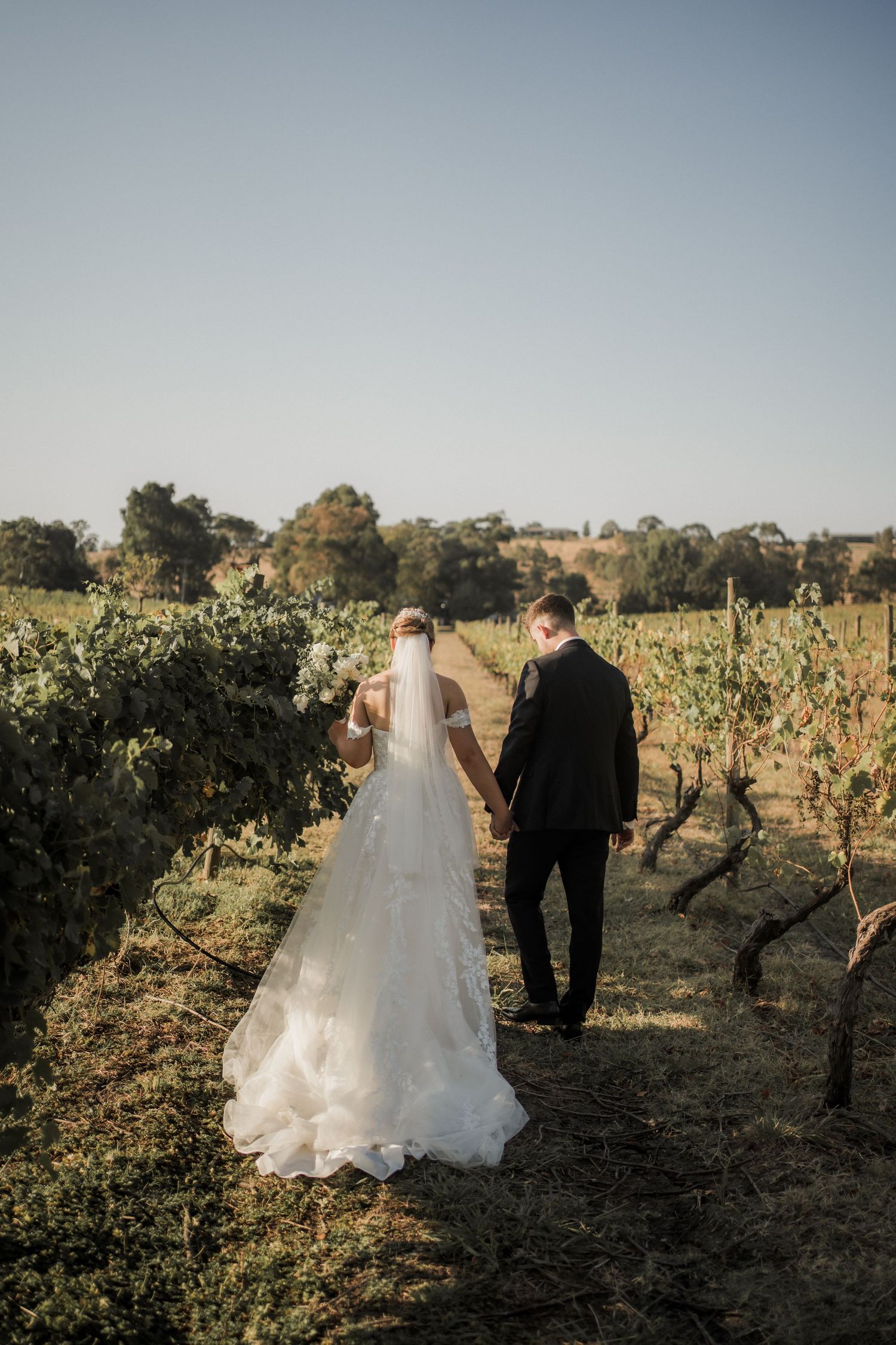 A couple walking through vineyard rows during golden hour.