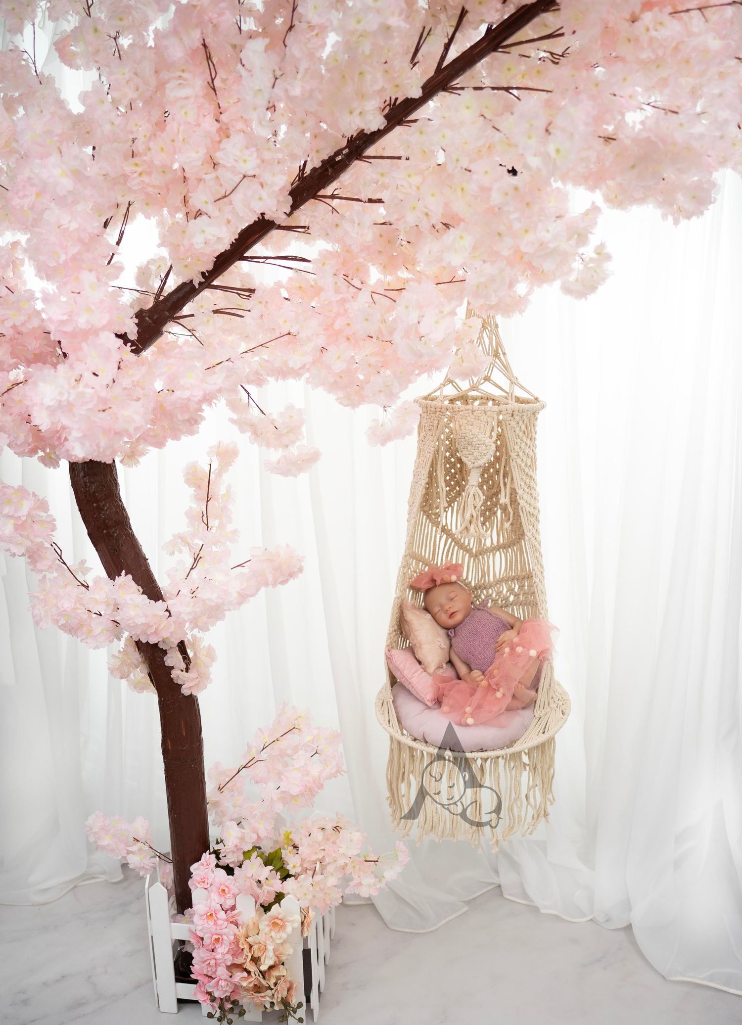 Romantic cherry blossom tree with macrame hanging chair setup against white backdrop.