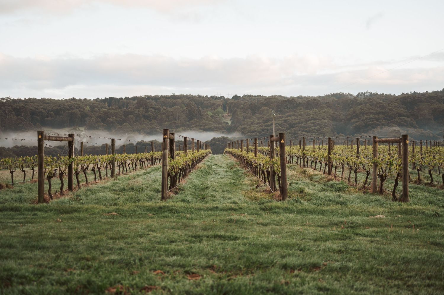 Accommodation Photography in Australia