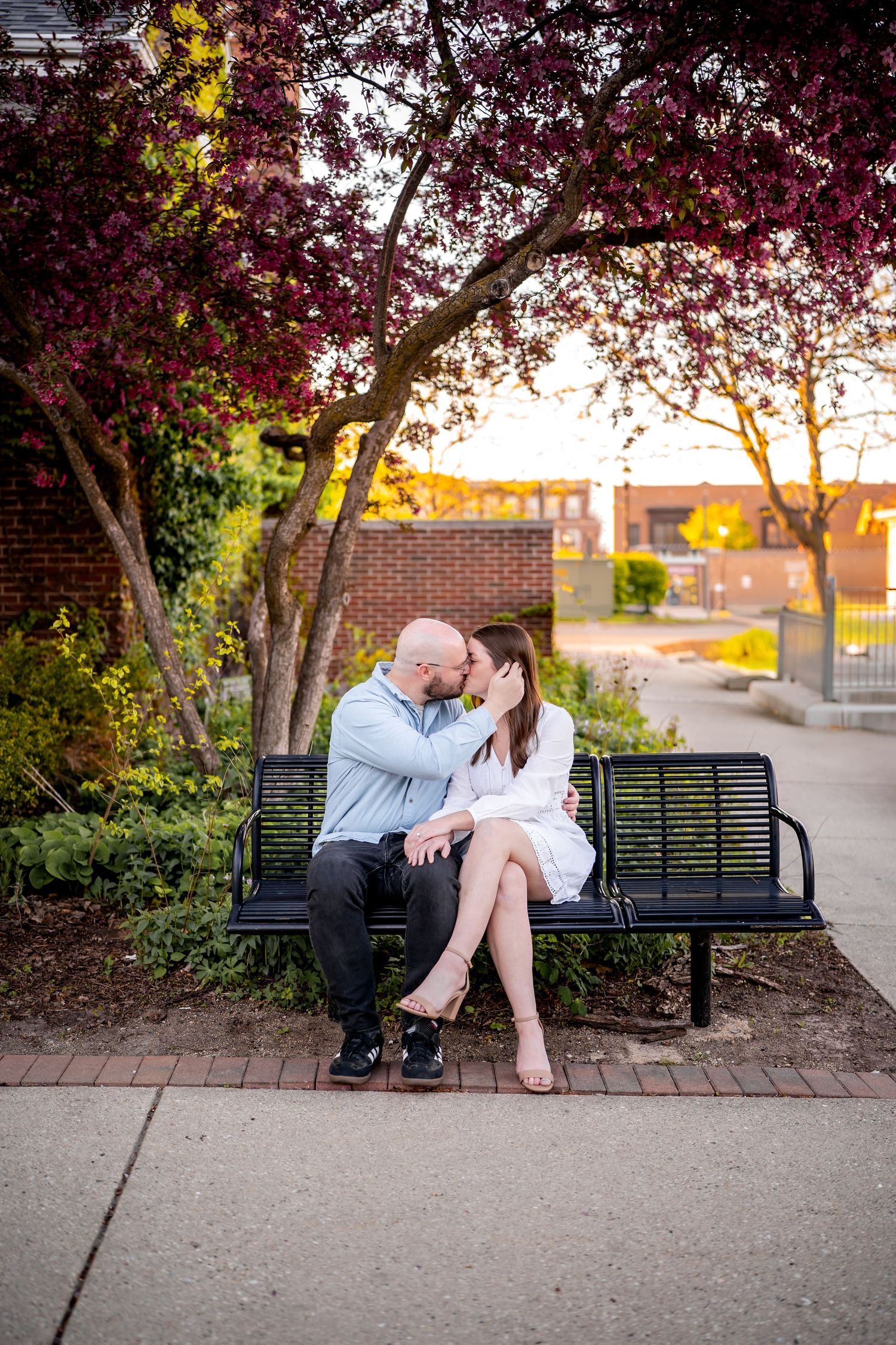 Couple shares romantic moment on park bench at sunset under blooming pink cherry blossom tree.