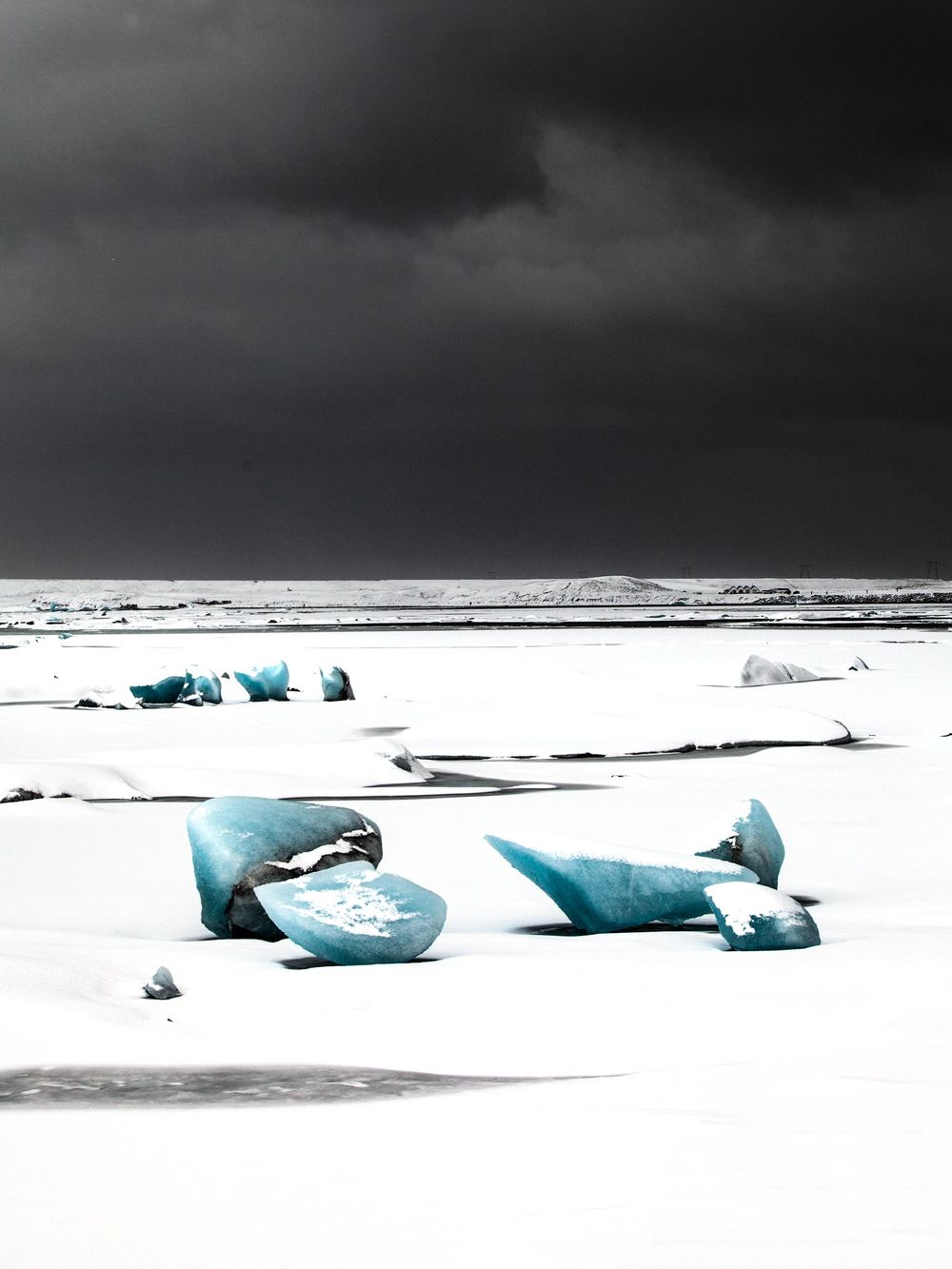 Blue seals rest on a snowy beach landscape under a dark dramatic sky in a monochromatic winter scene.