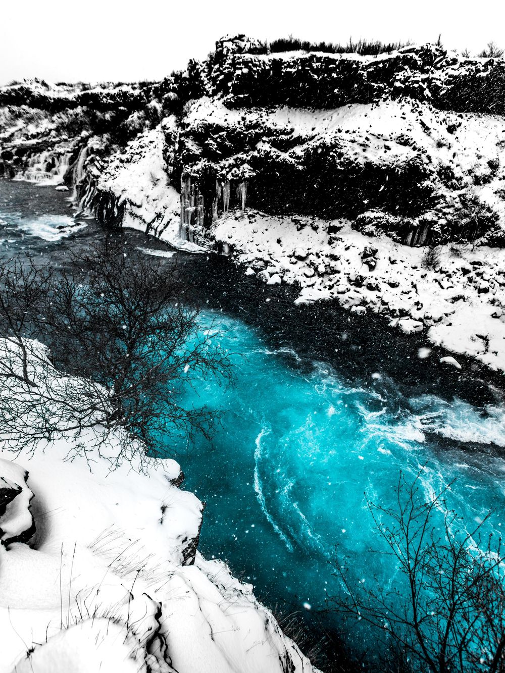 Stunning turquoise river flowing through snow covered canyon with rocky cliffs and bare winter trees.