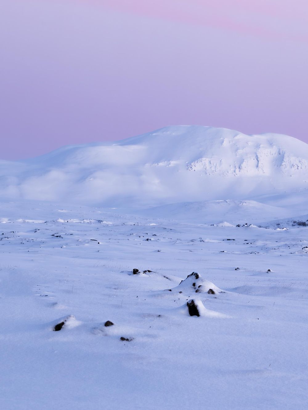 Snow-covered mountain landscape with purple sky at twilight and scattered rocks on white snowy terrain.