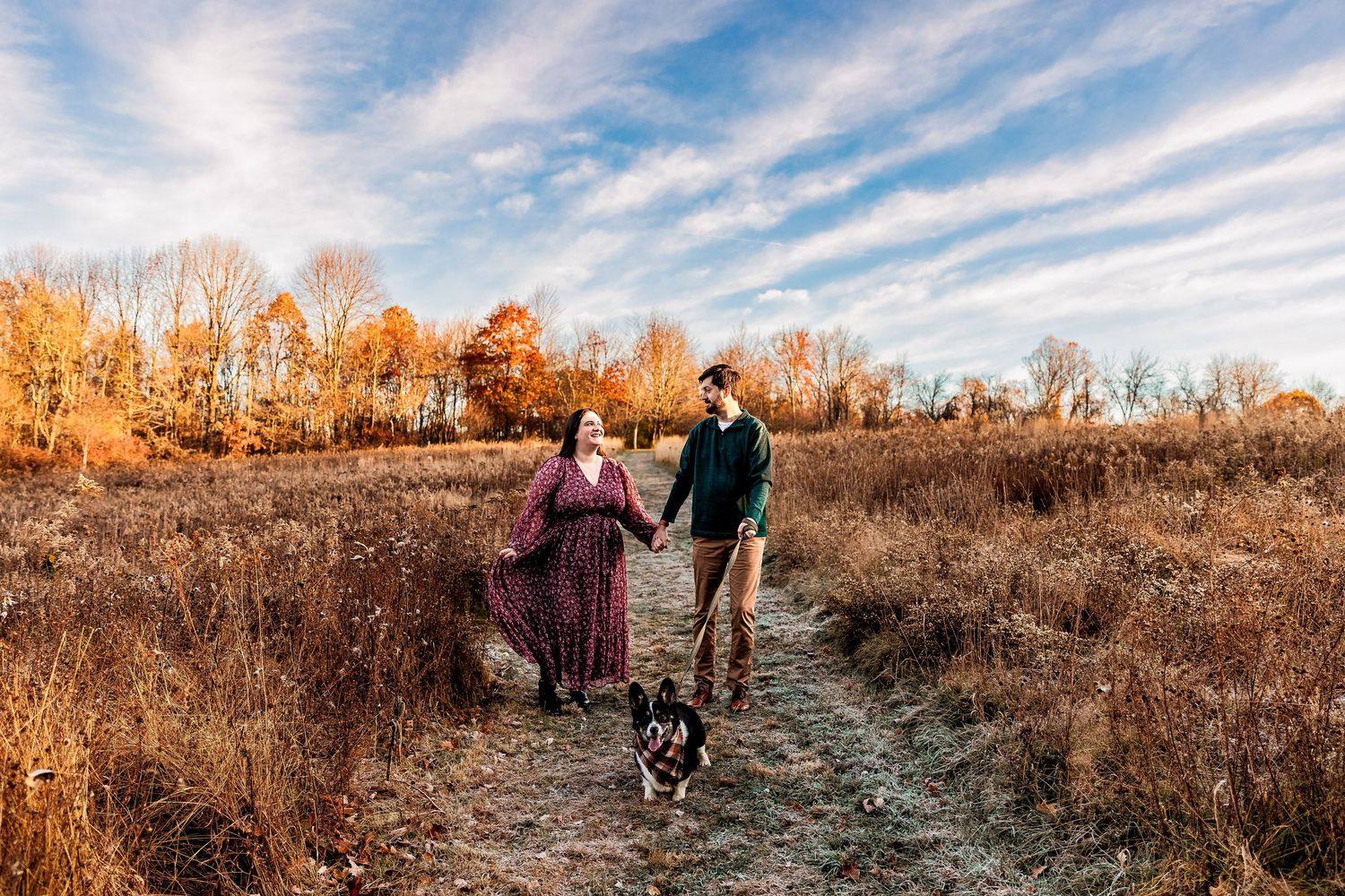 A couple walks their dog along an autumn trail through a golden field beneath a vibrant blue and cloudy sky.