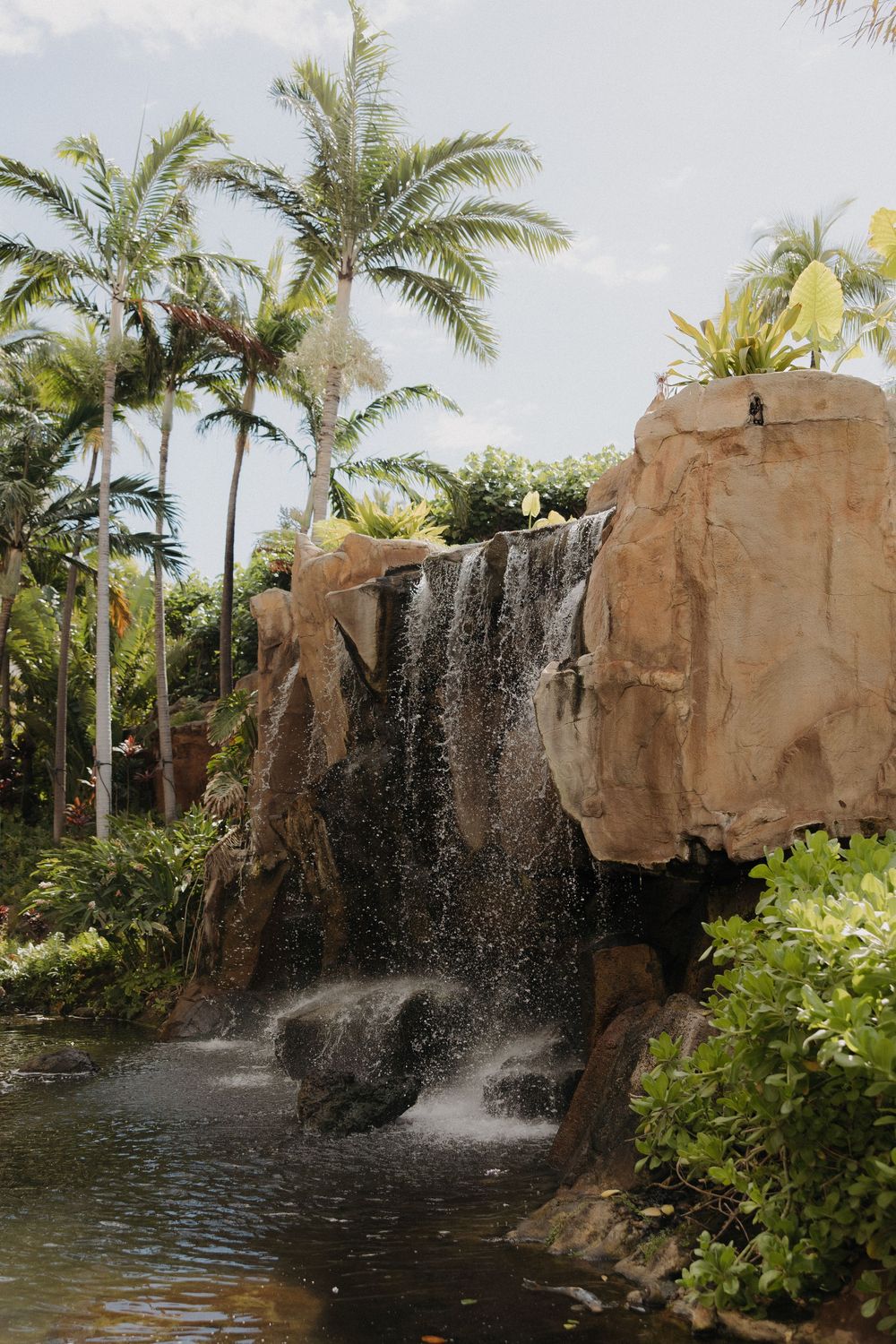 A tropical waterfall cascades down rocky cliffs surrounded by lush palm trees and greenery.