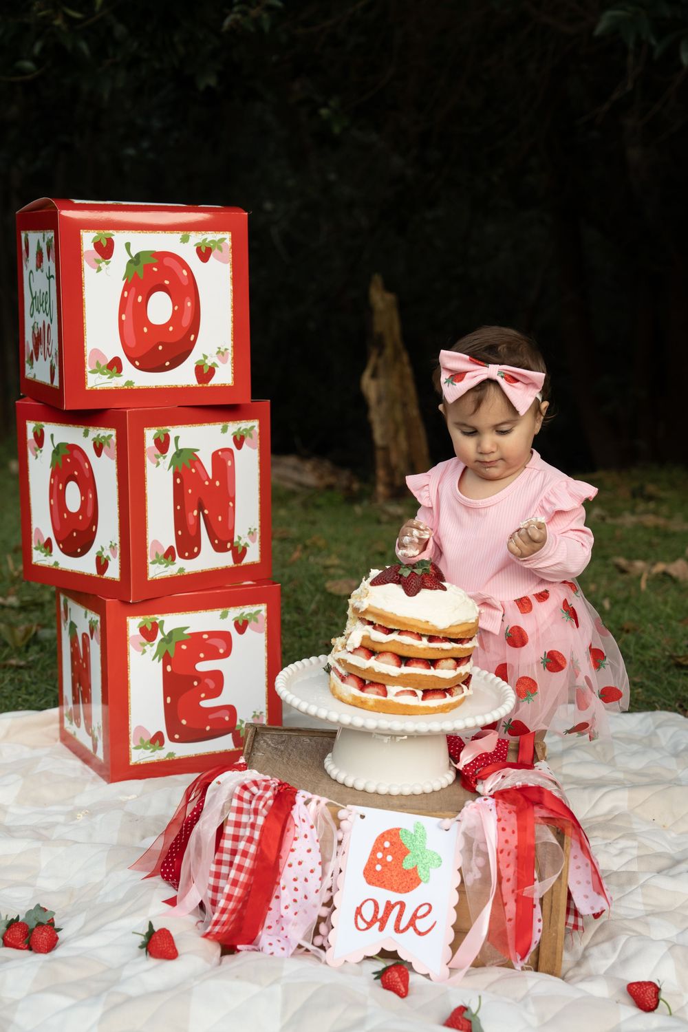 cake smash photography Wollongong