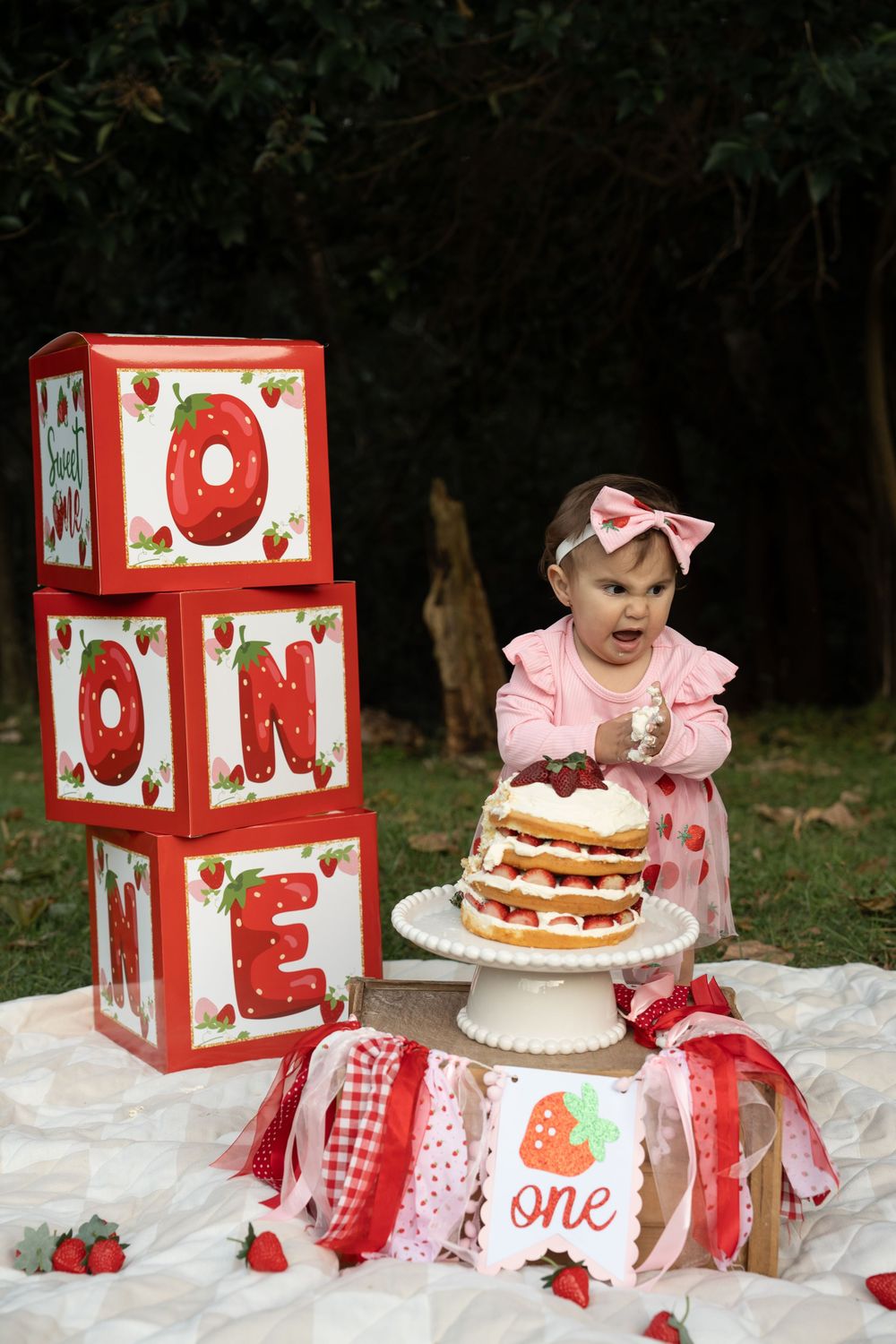 cake smash photography Wollongong