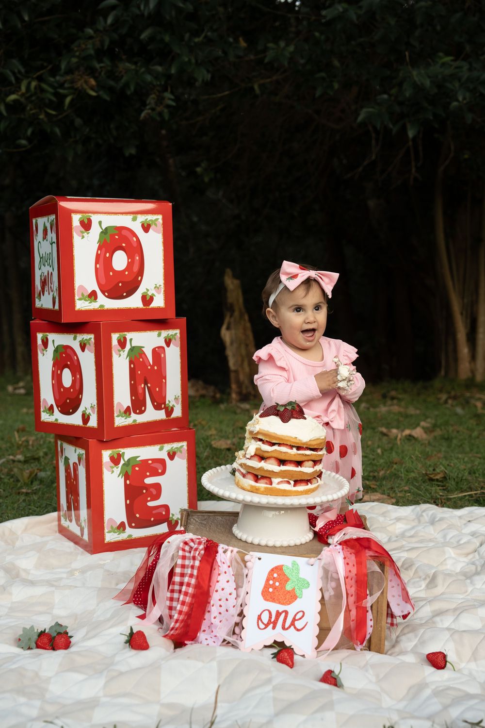 cake smash photography Wollongong
