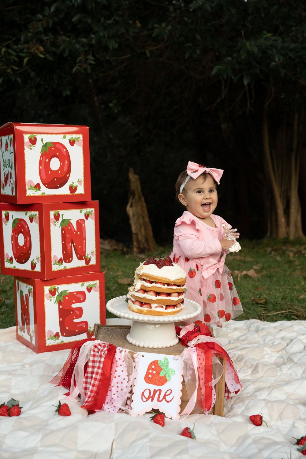 1st birthday photography Wollongong