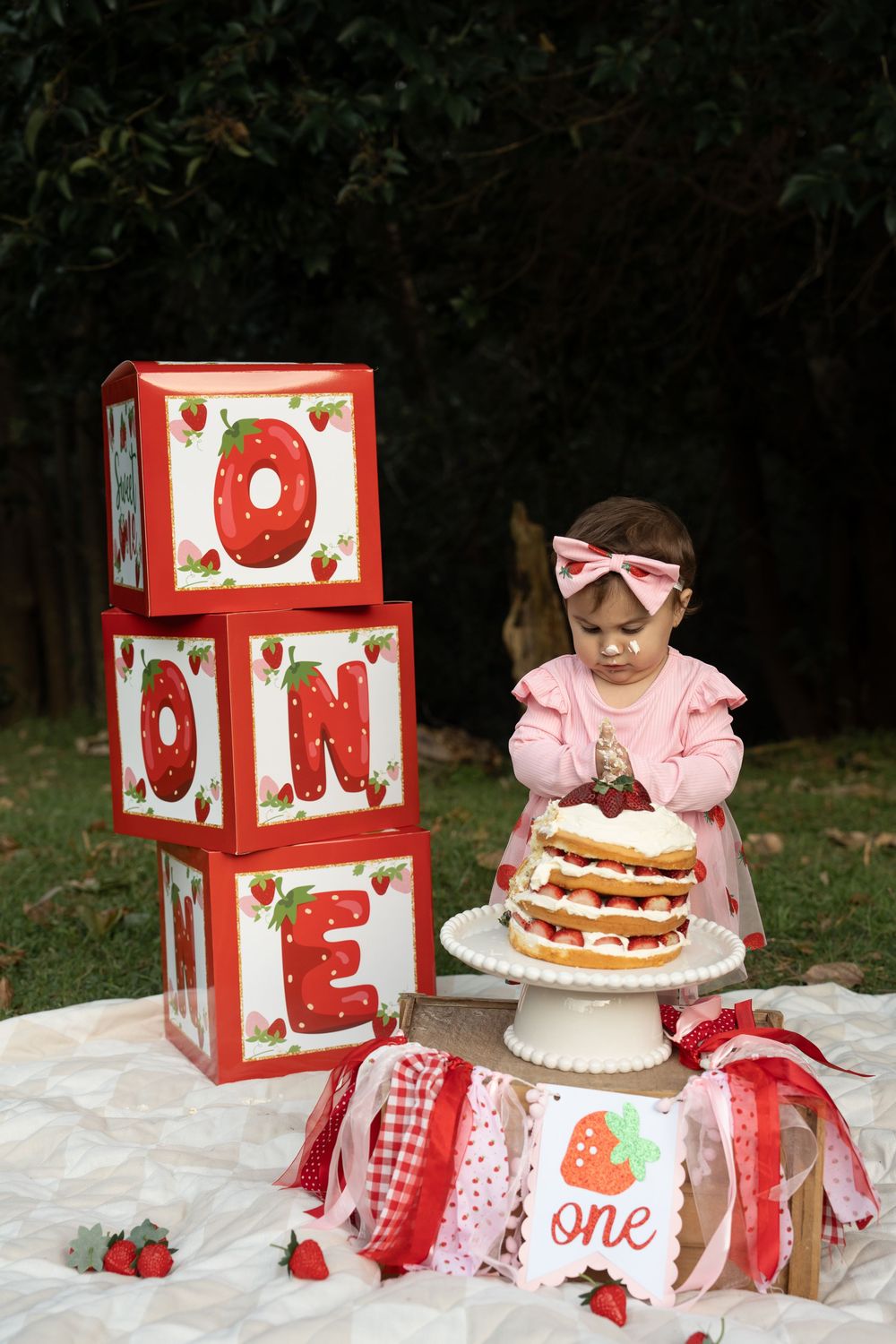 1st birthday photography Wollongong