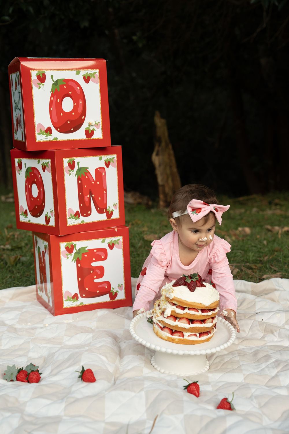 1st birthday photography Wollongong