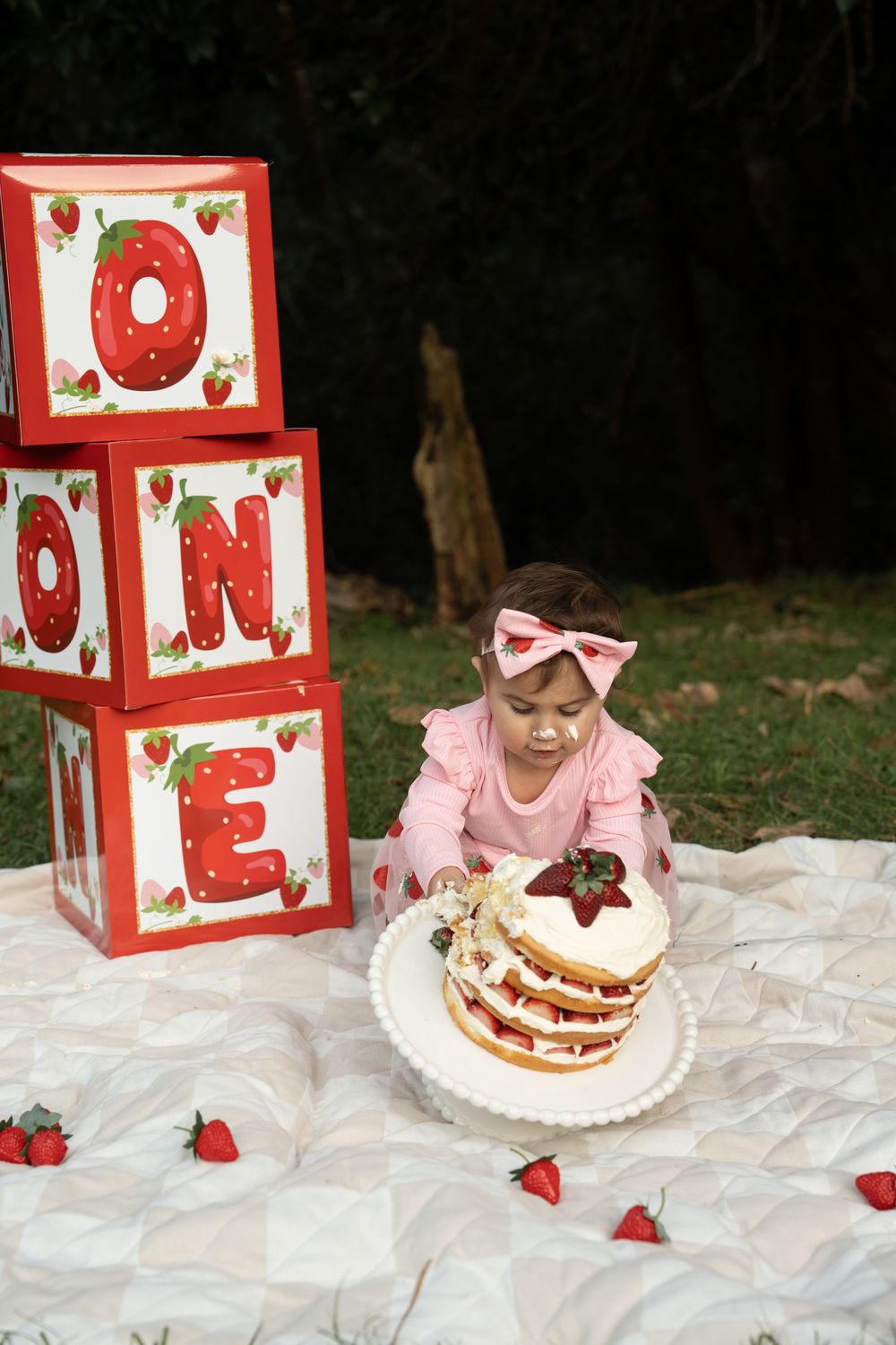 1st birthday photography Wollongong