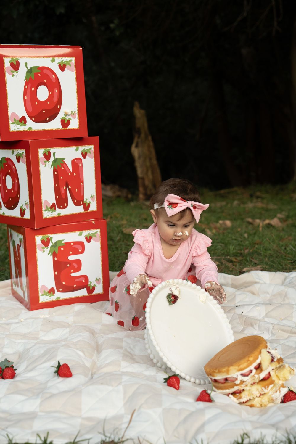 Cake smash photographer Wollongong