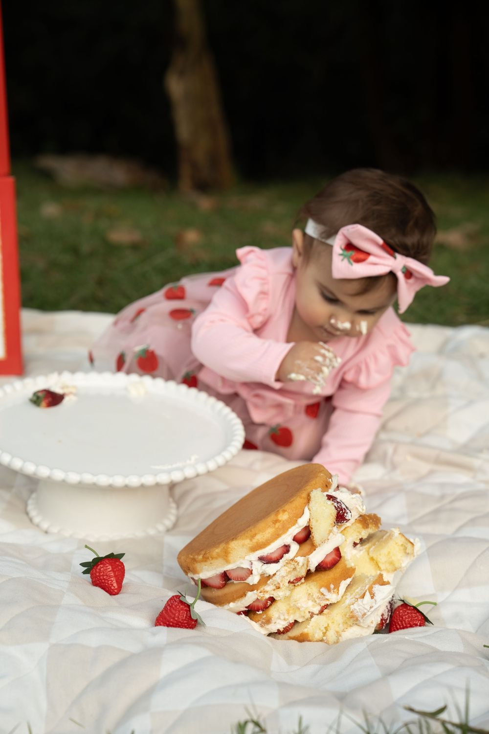 Cake smash photographer Wollongong
