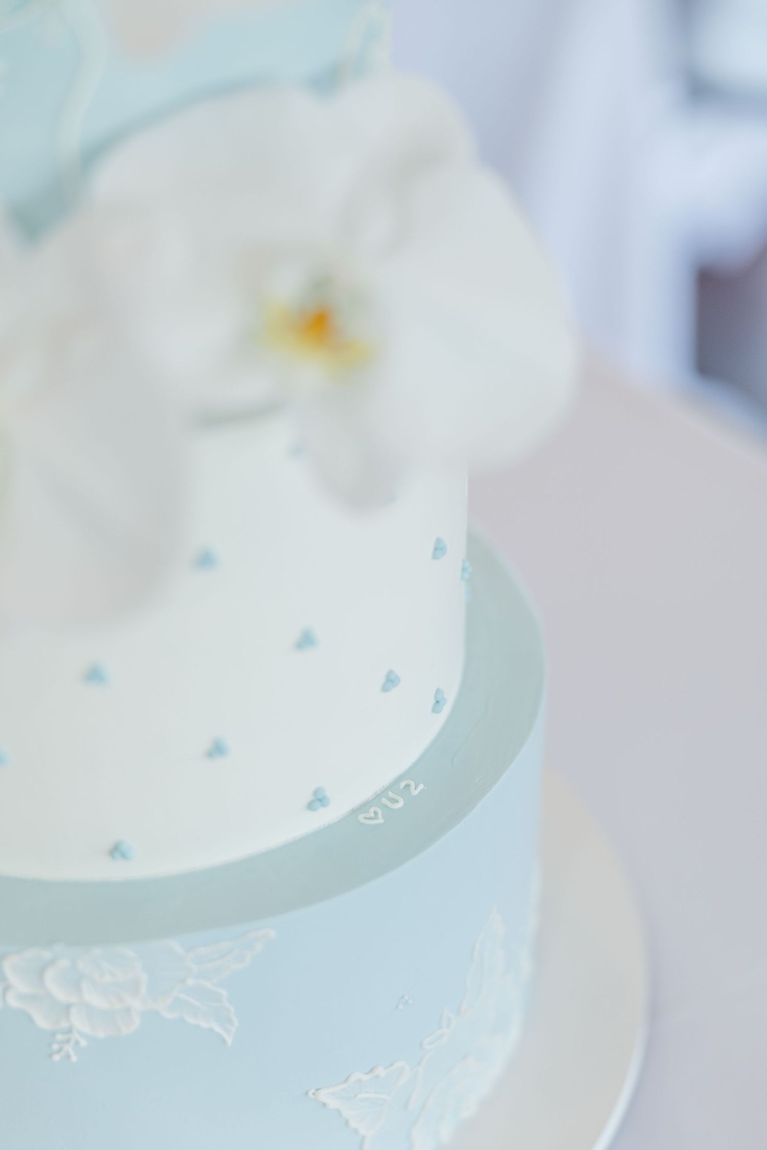 Soft focus close-up of delicate white orchid flowers with pale blue backgrounds creating an ethereal effect.