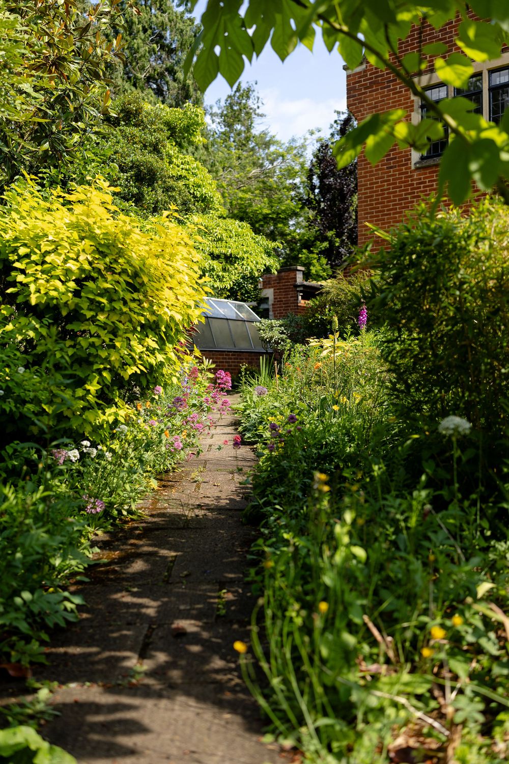 A winding garden path lined with lush yellow and green foliage leads to a brick house on a sunny day.