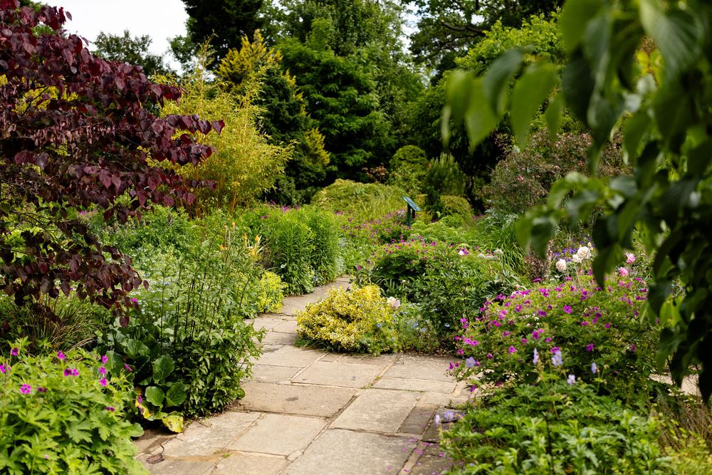 A curved garden path meanders through lush greenery and flowering plants in a peaceful botanical setting.