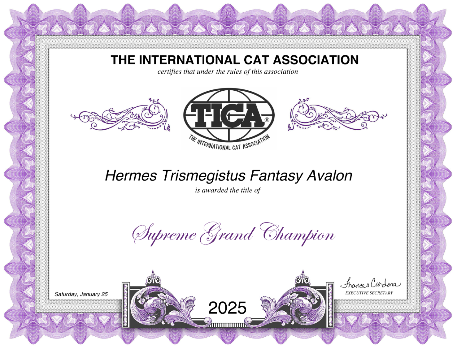 A decorative purple certificate from The International Cat Association naming a Supreme Grand Champion with ornate borders.