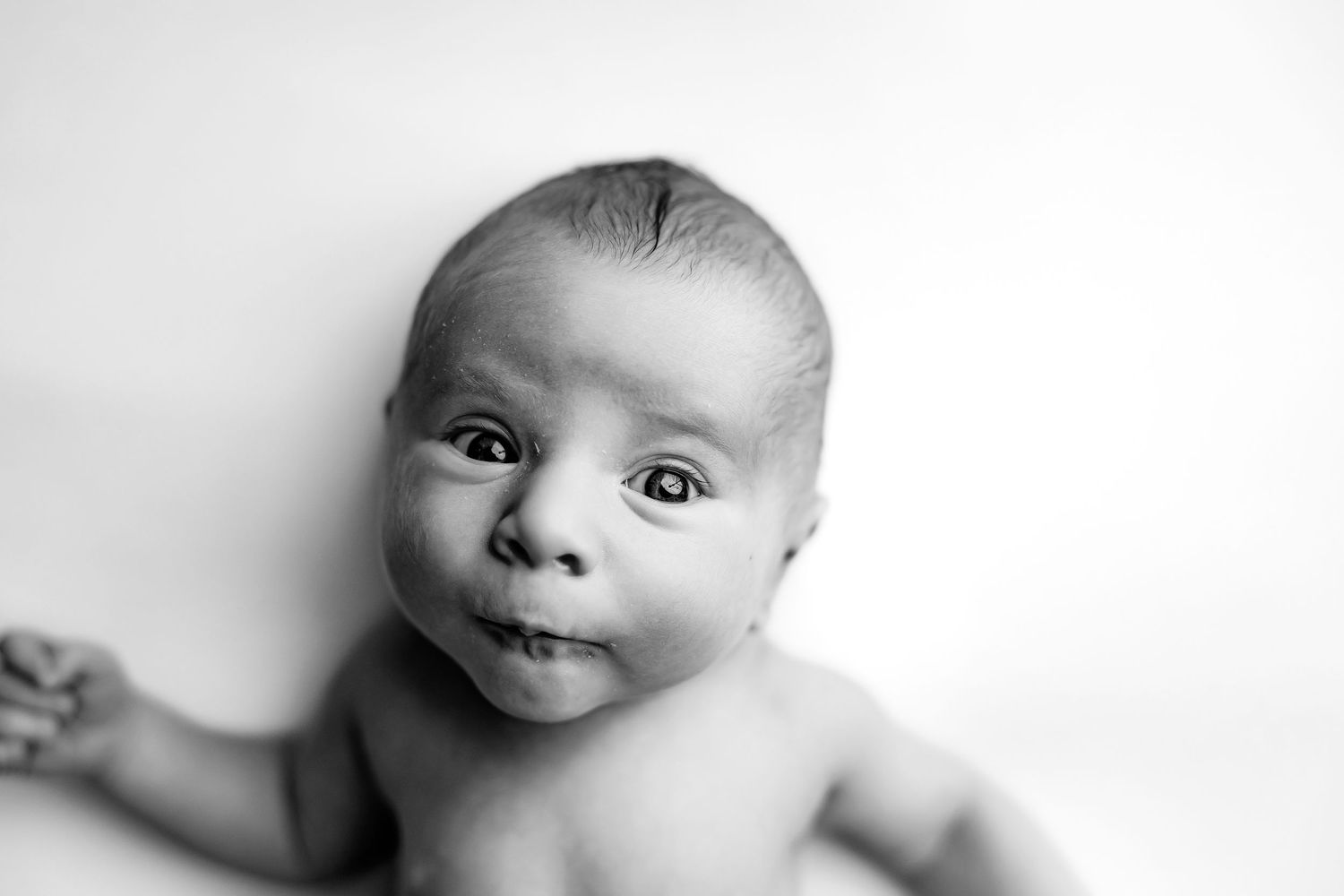 posed studio portrait of newborn baby by Fairbanks Newborn Photographer Applegum Photography