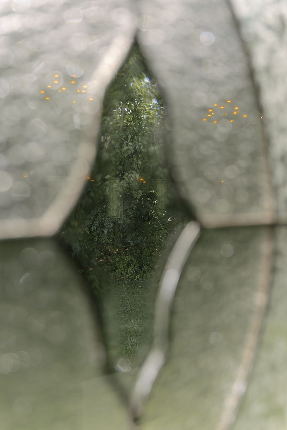Abstract bokeh patterns through wet glass create a dreamy, ethereal background with golden specks of light.