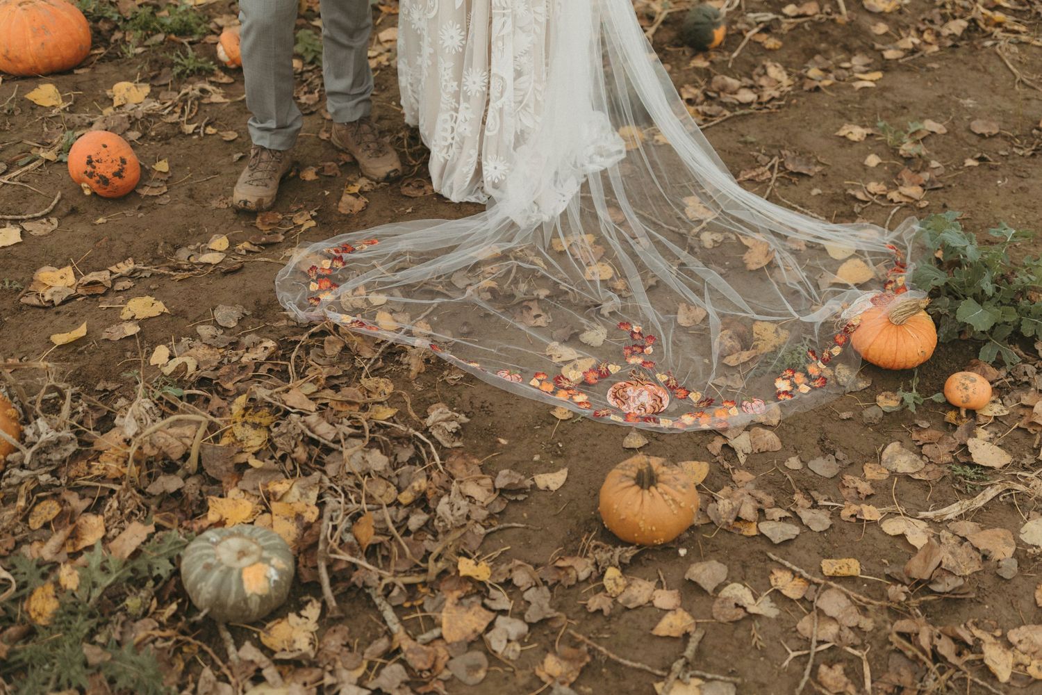 A flowing white lace dress train decorated with floral embroidery lies on autumn ground surrounded by pumpkins and fallen leaves.