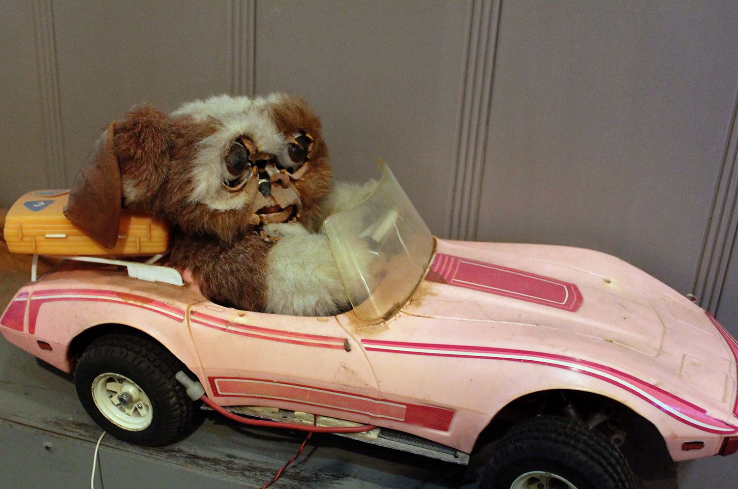 Gizmo and Corvette at Bob Burns house