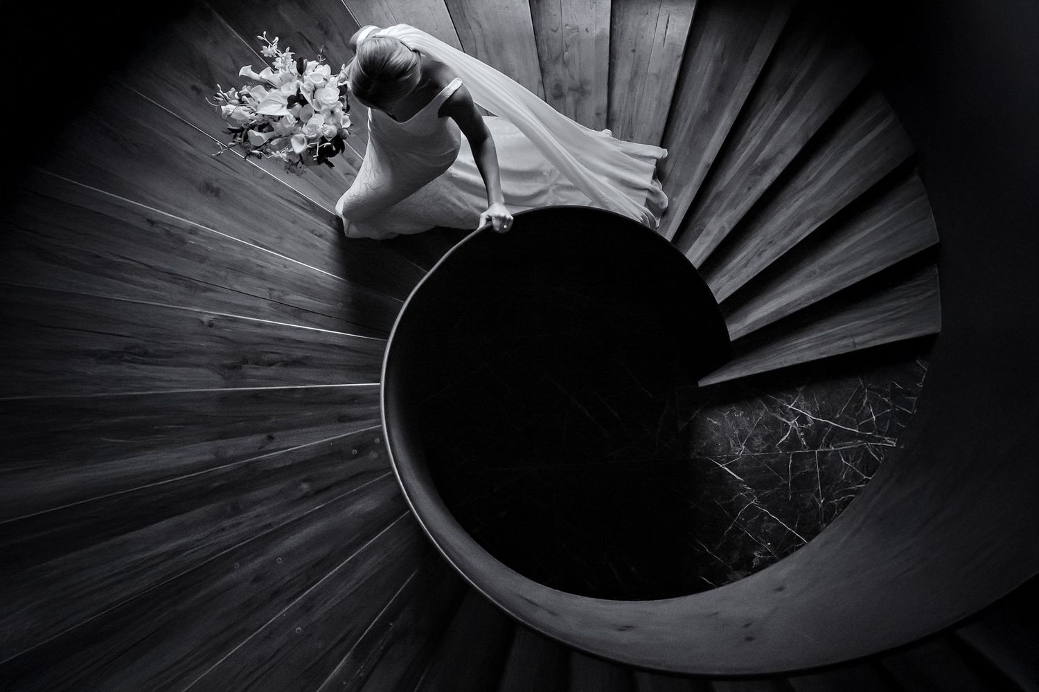 Dramatic black and white palm leaf pattern creating abstract radiating lines and shadows against a dark background.