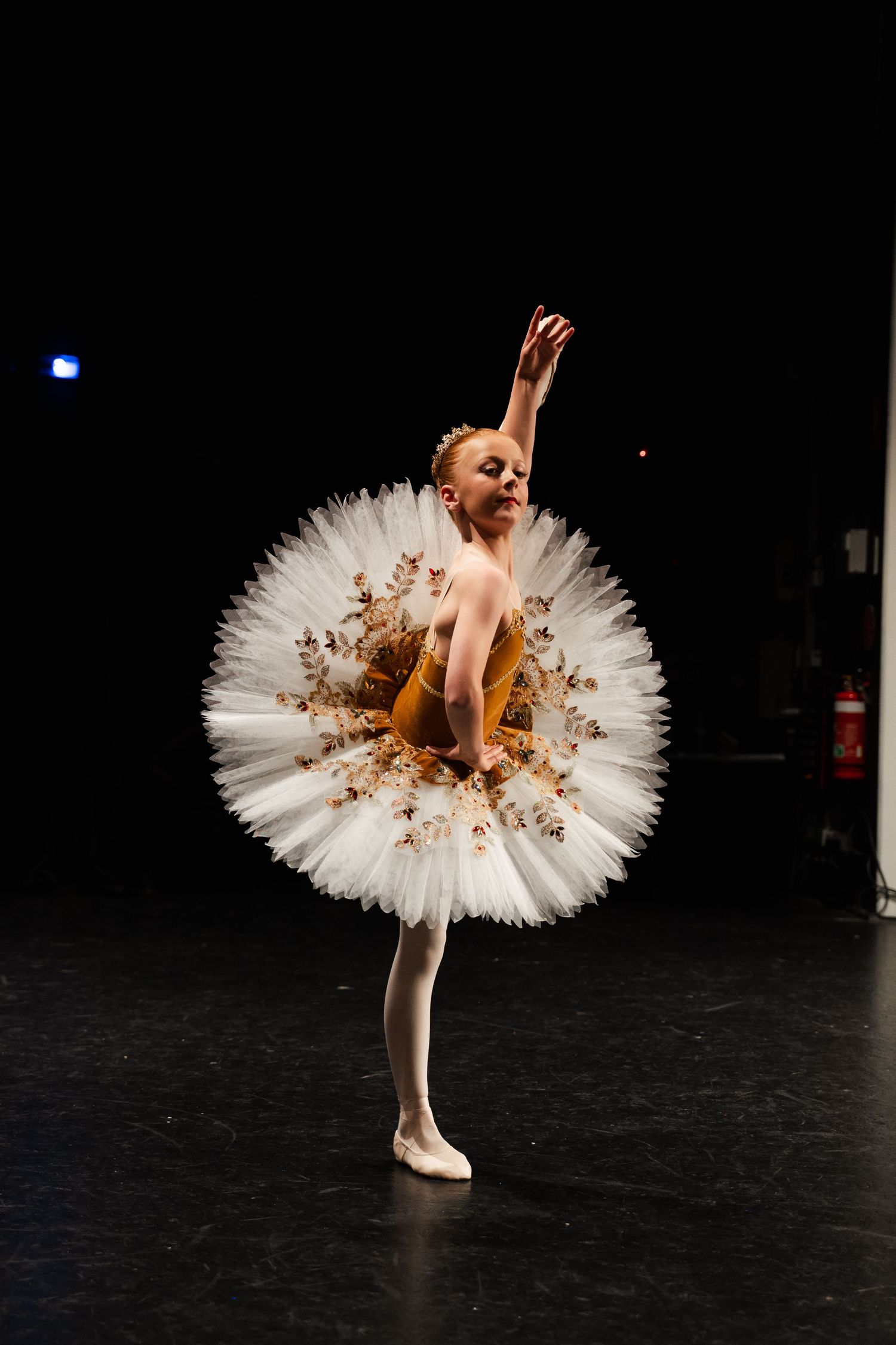 Ballet dancer performs on stage wearing an ornate white tulle tutu with gold accents in dramatic lighting.